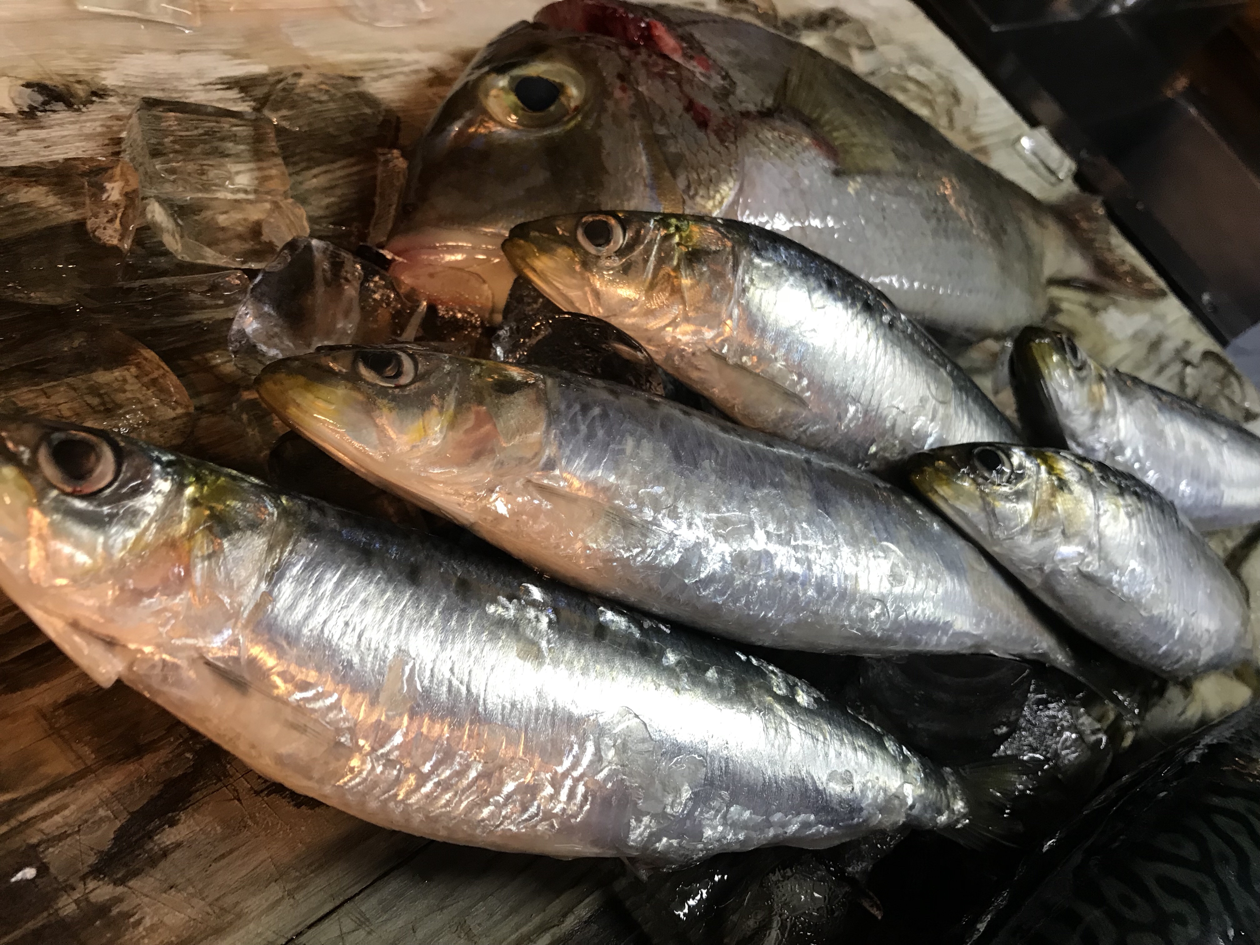 珍 ギョ 魚 福善 若葉駅西口鶴ヶ島市の和食店 居酒屋